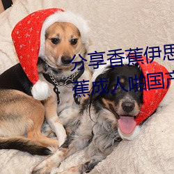 ǲ(й)ٷվ