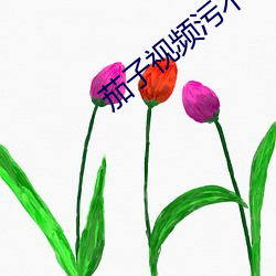 vwinӮ(й) - ٷվ