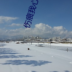 伤痕(痕)我心(心)续集
