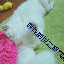 寻找前世之旅续集