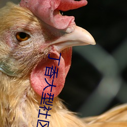 丁香大型社區