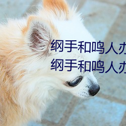 綱手和鳴人辦公室本子羞羞觀看(綱手和鳴人辦公室)
