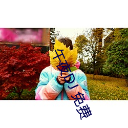 午夜DJ 免费