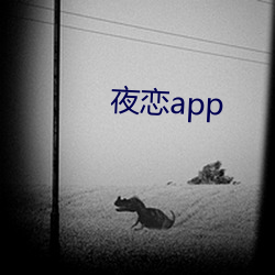 夜恋app