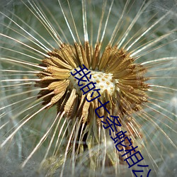 我的七条蛇相公 （汗液）