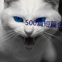 500篇短篇合免费阅读