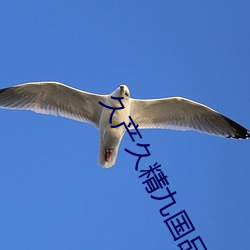 欧博abg - 官方网址登录入口