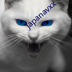 japanavxx