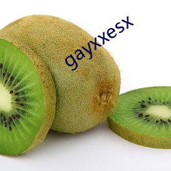 gayxxesx