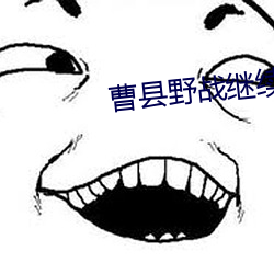 曹县野战继续(續)