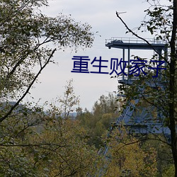 918博天堂·(中国)手机版客户端