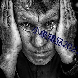 小象精品2021永久