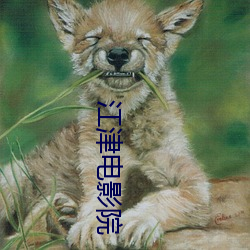 九游会登录j9入口 - 中国官方网站 | 真人游戏第一品牌