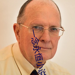 一念永恒小说