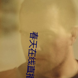 春天在線直播