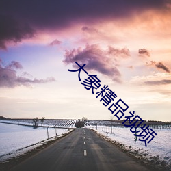 大象精品视频