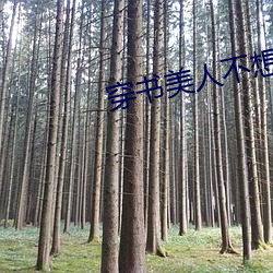 穿书美人不想死
