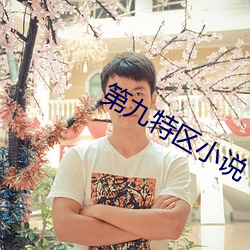 第九特区小说