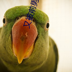又被(被)前男友盯上了(了)