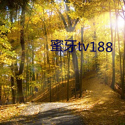 ()tv188