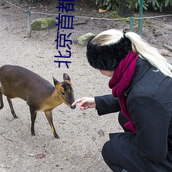 北京首都(都)电影院