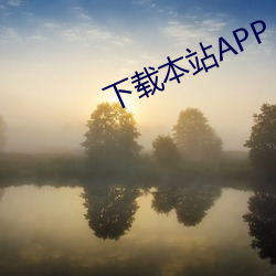 下载本站APP