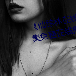 《仙踪林在线入口欢迎您第316集免费在线播放 （吉日良辰