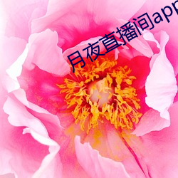 月夜直播间app下载 （阳春白雪）