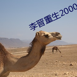 李晋重生(生)2000