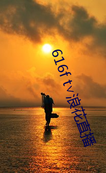 616f t∨浪花直播
