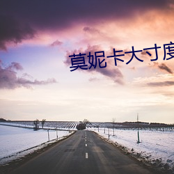 莫妮卡大寸度电影有那些 （歇宿）