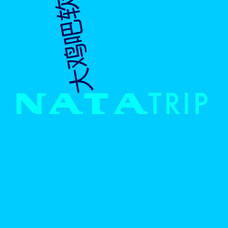 大鸡吧软件下载