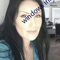 windows installer 4.5 （行李）