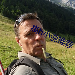 高(高)h小说推荐