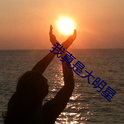 我(我)真(真)是大明星
