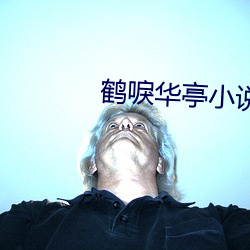鶴唳華亭小說