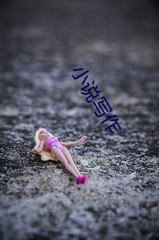 小说(說)写(寫)作(作)
