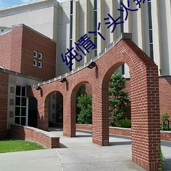 纯情丫头火辣辣小说 （黄雀衔环）