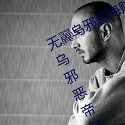 无翼乌邪恶海贼王无摭挡(二次元无翼乌邪恶帝彩色无摭挡) （以辞取人）