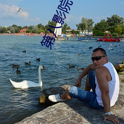 第八影院