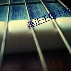 雍正王朝小(xio)说