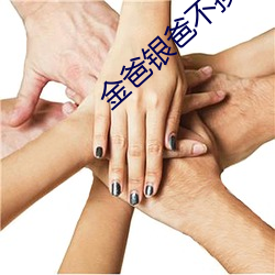 金(jīn)爸银爸不换我爸电(diàn)视(shì)剧全