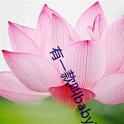 金年会(中国)官方网站