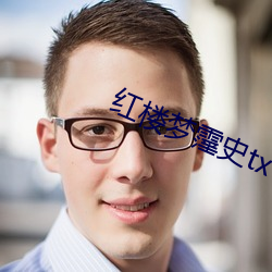 紅樓夢霪史txt