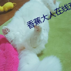 香蕉(蕉)大人(人)在线观看