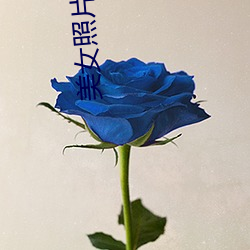 美女照片