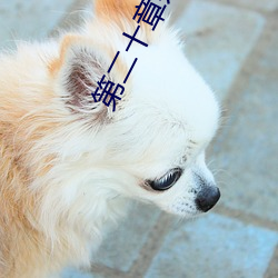 第二十(shí)章办(bàn)公室里(lǐ)的旖旎