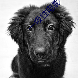 一级性电影(yǐng)