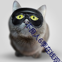 不良(liáng)人6季在线观看完整版