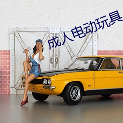 成(成)人(人)电动(動)玩(玩)具(具)